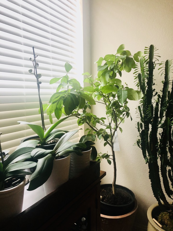 a bit of green and light