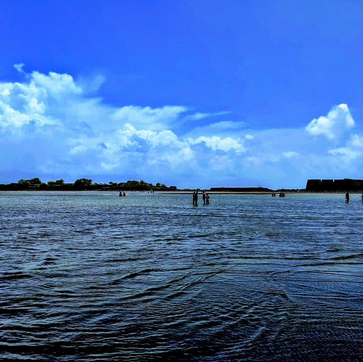 Marine beauty