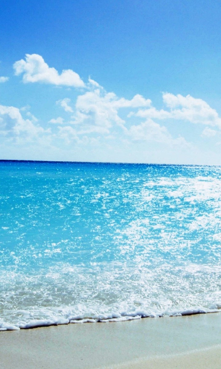 sea