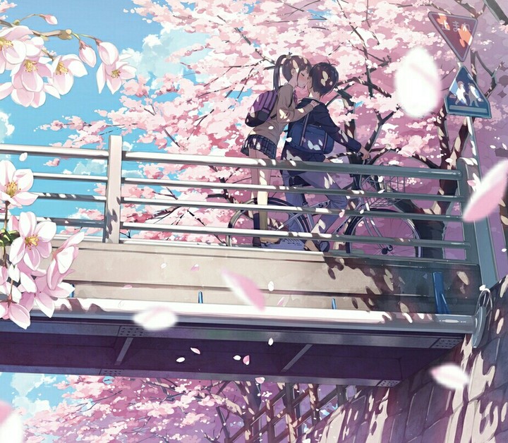 Anime ~