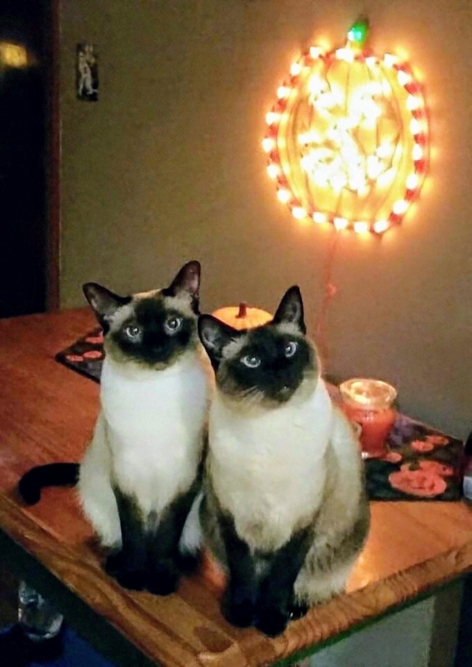 .