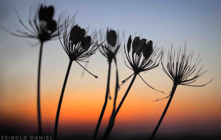Sonnenuntergang