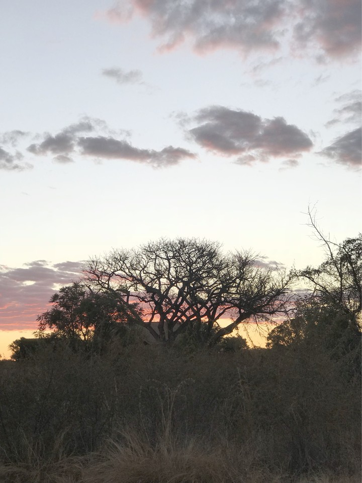South Africa