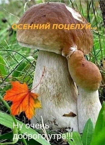 осенний поцелуй!