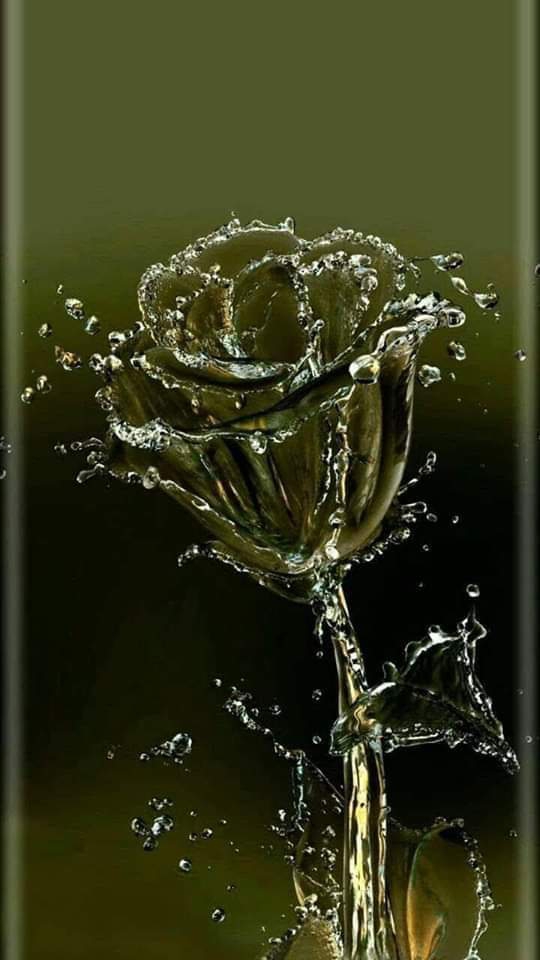 water flower