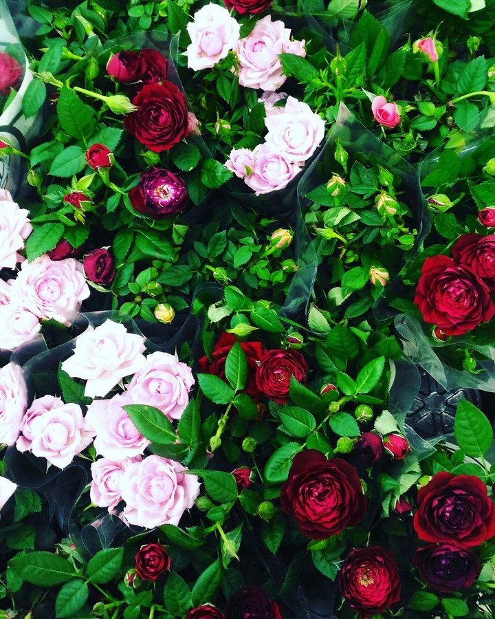 flowers
