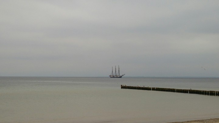 Lonely Ship