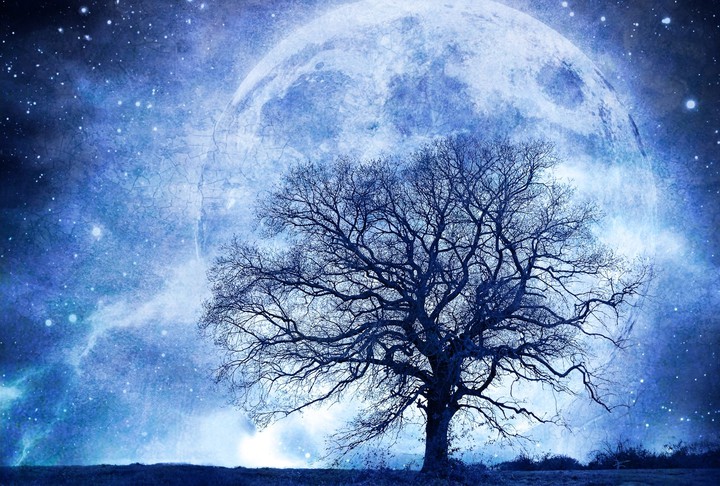 heavenly moon
