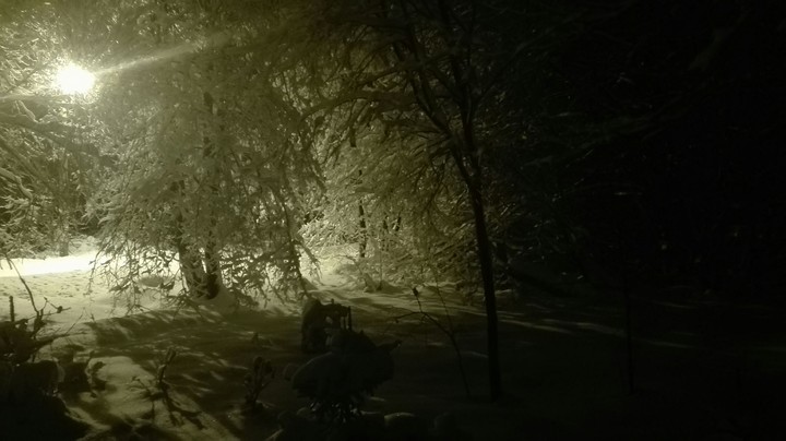 winter