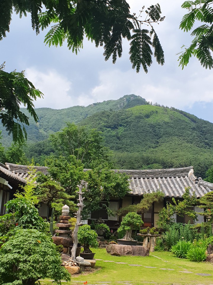 old house 고택