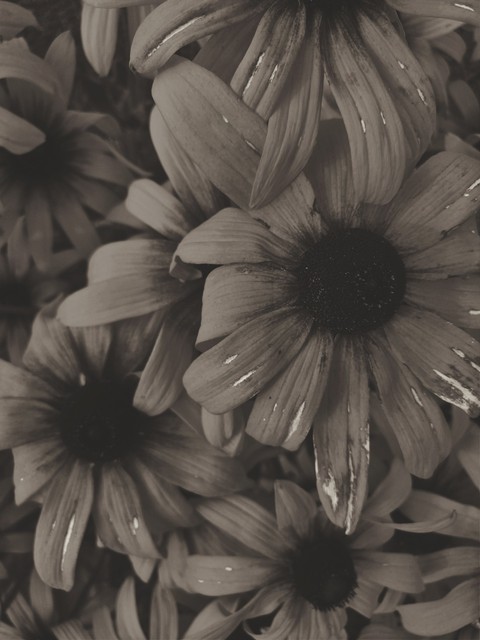 Melancholy