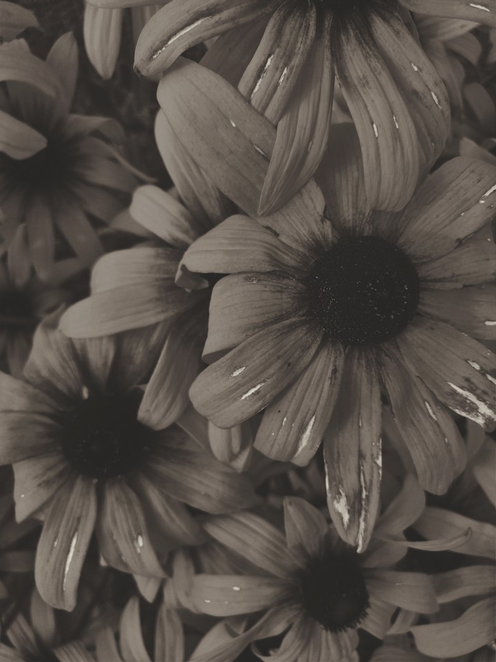 Melancholy
