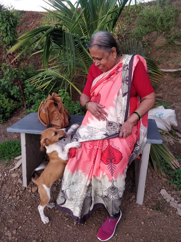 Mummy with Puppy