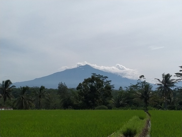 Merapi mountain