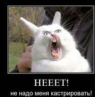 Догадайтесь кто это????