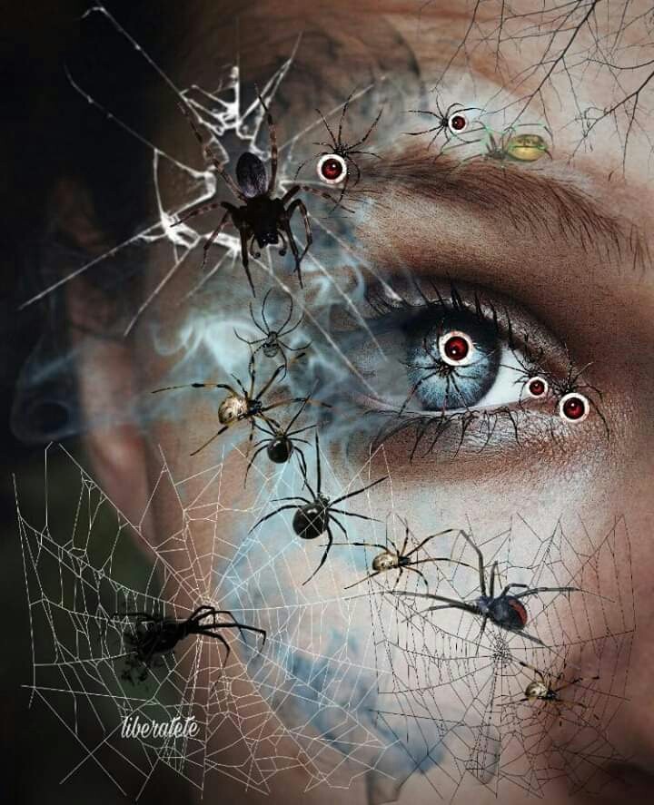 spiders