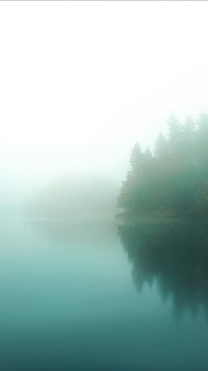 fog