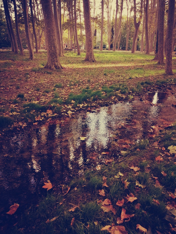 La Devesa de Girona