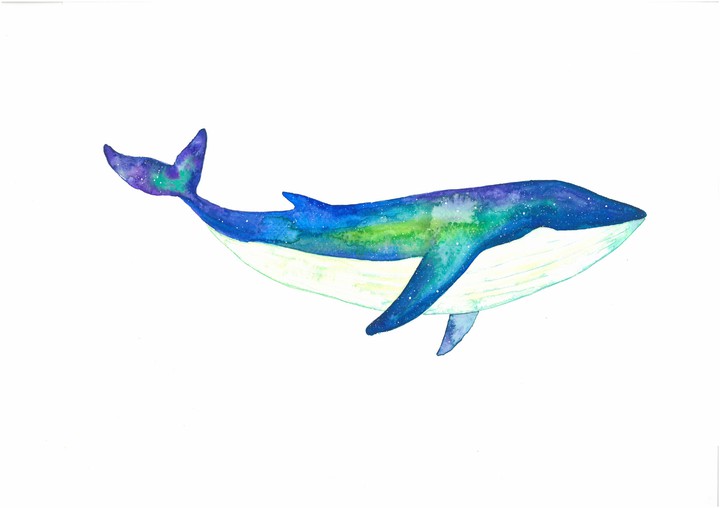 whale