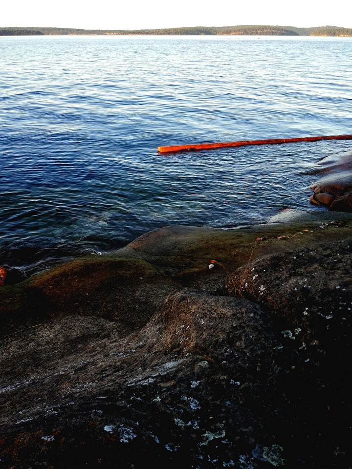 sea
