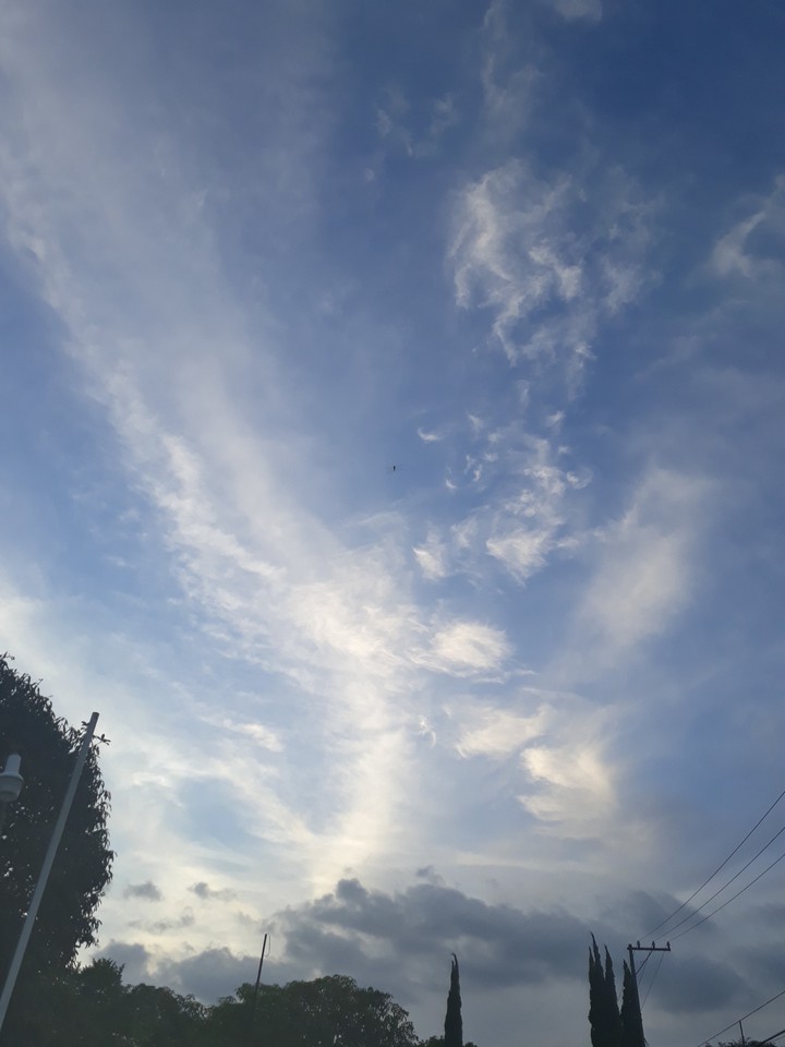 Cielito lindo y querido