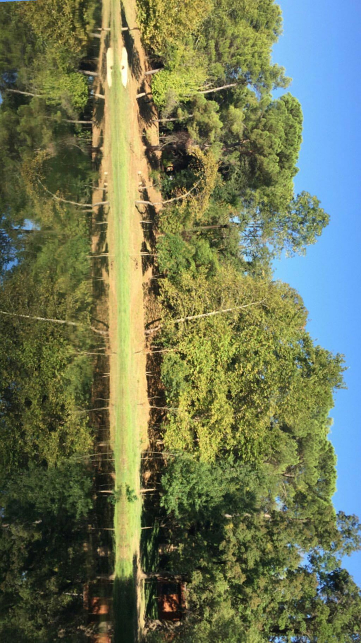 nature