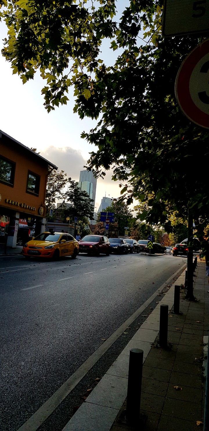 sunset in street
