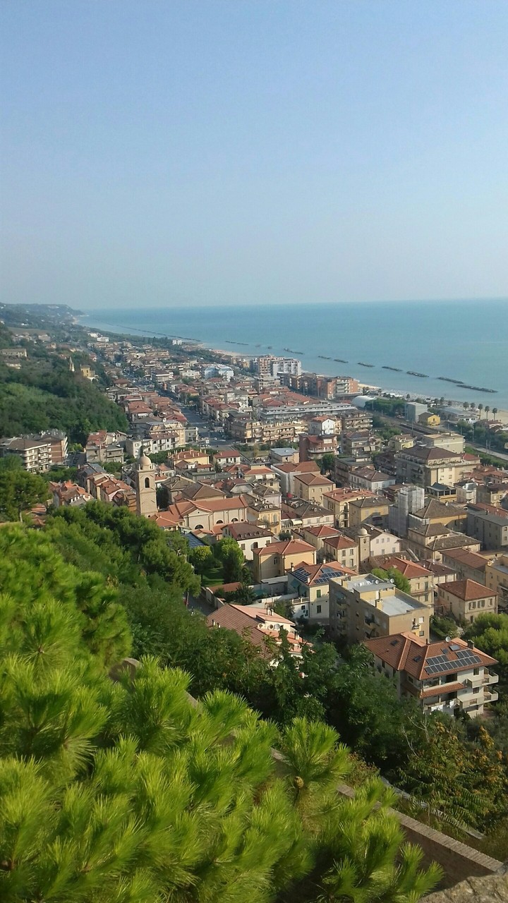 mare