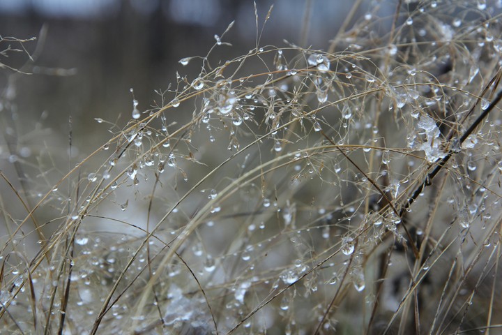drop
