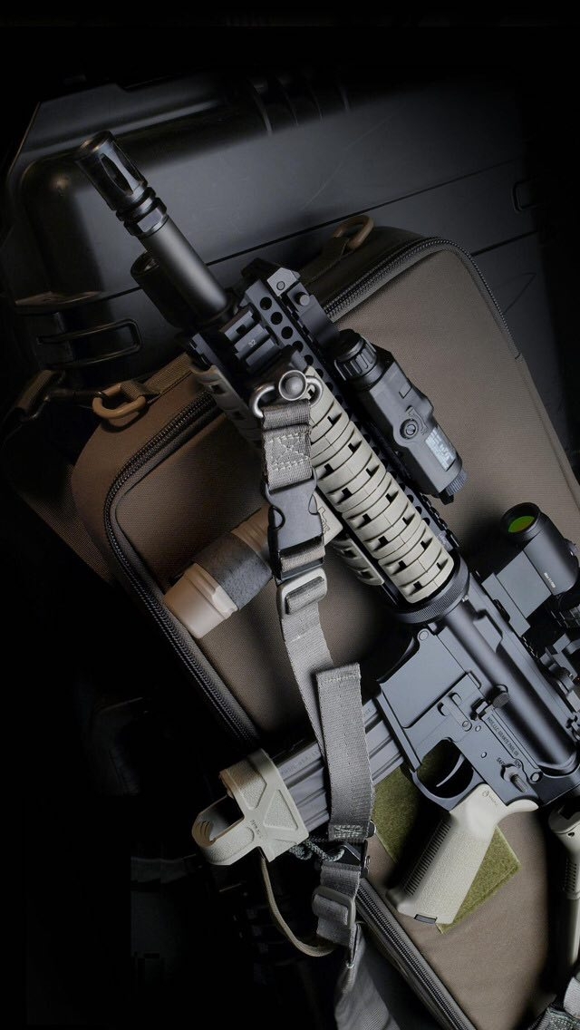 Gun