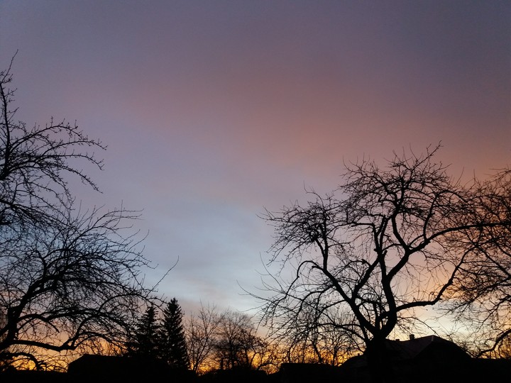 Sky