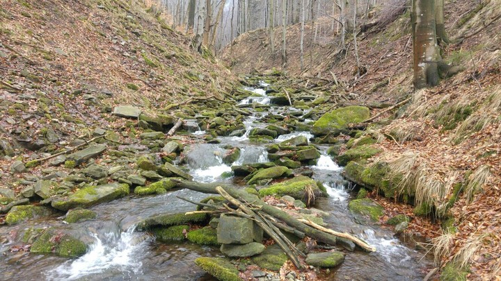 a brook