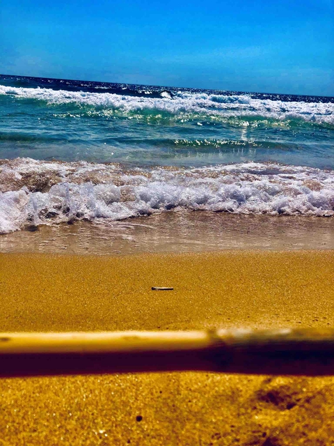 mare