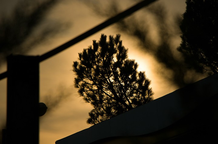 Dusk with the Nature Filter