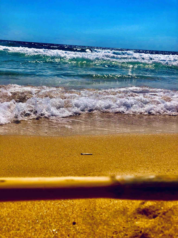 mare