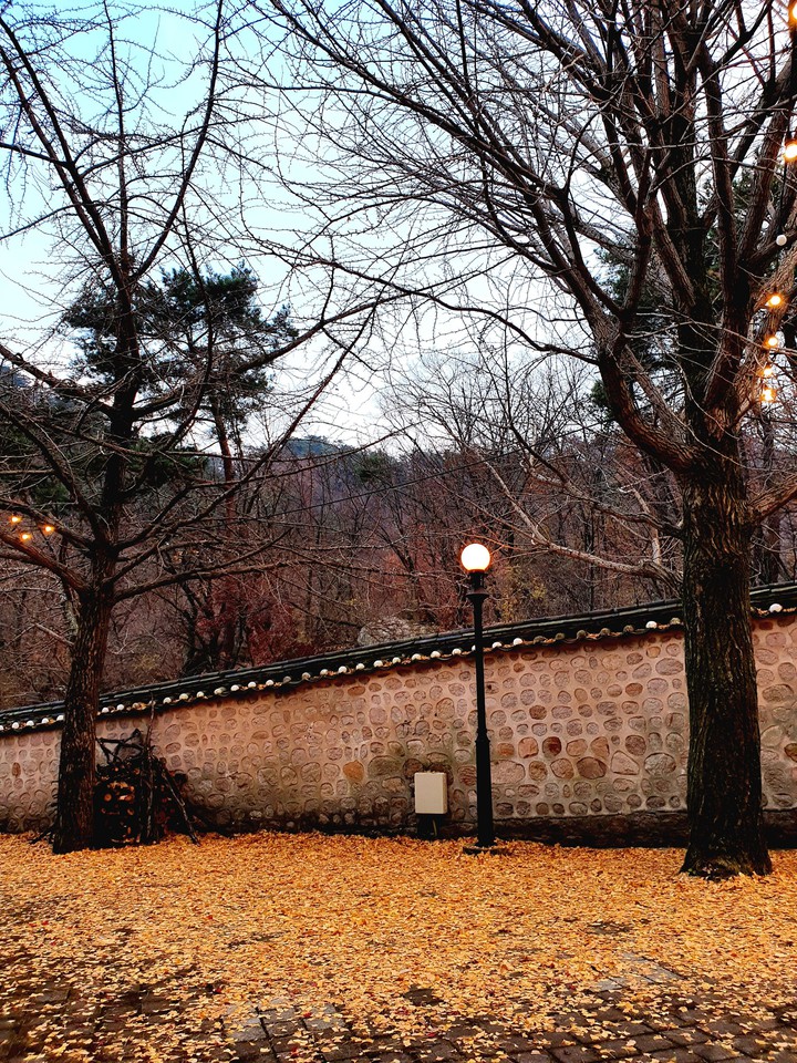 autumn in seoul