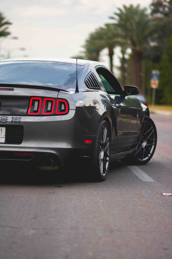 mustang