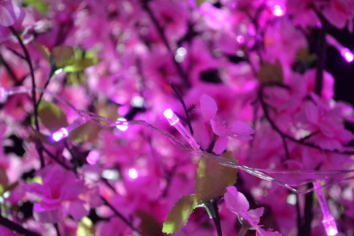 pink