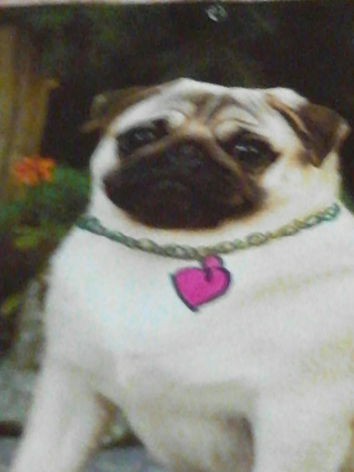 I love u!:-*  :-*  :-*
