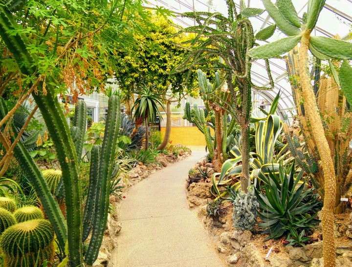 desert greenhouse