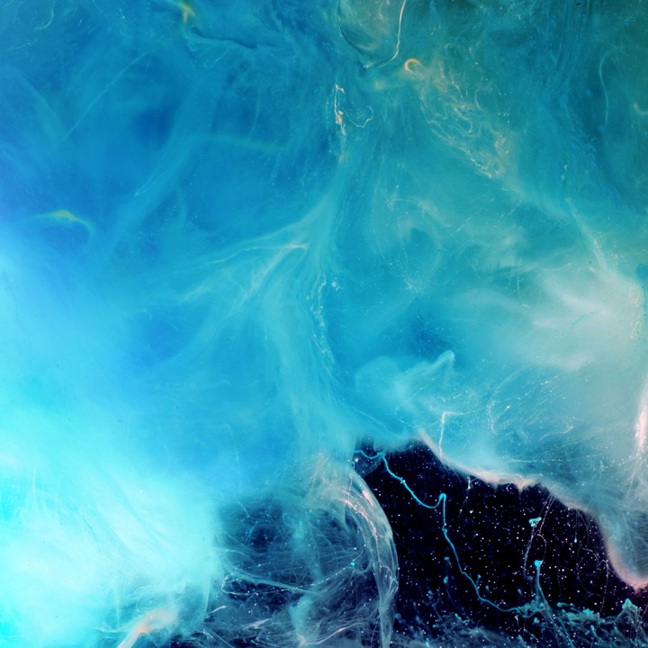 The blue?