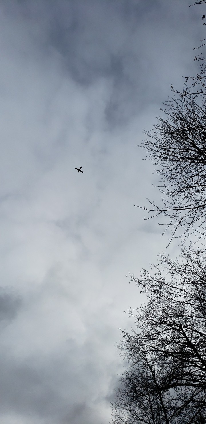 plane in the sky