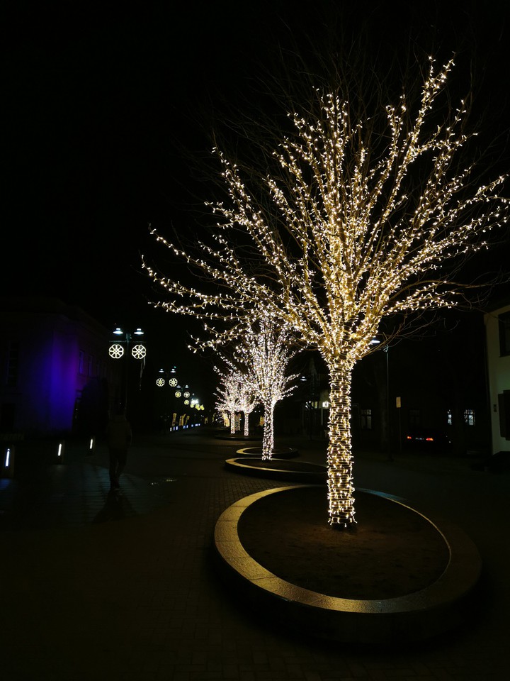 Christmas time