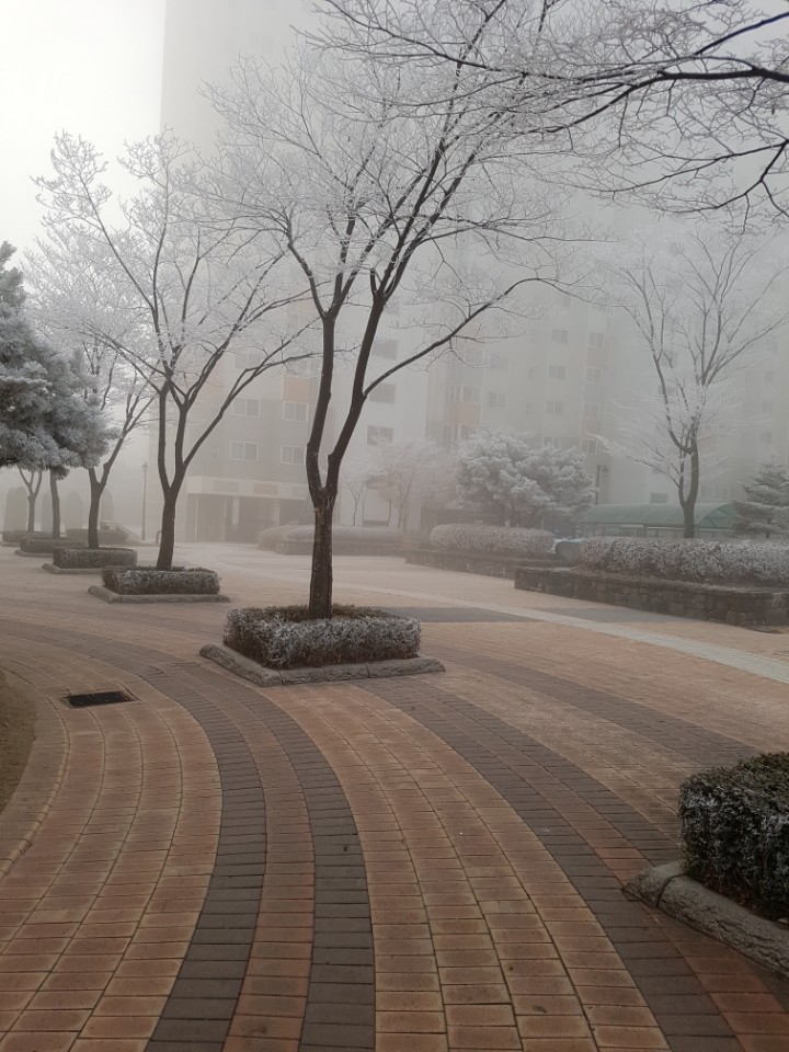 Snow