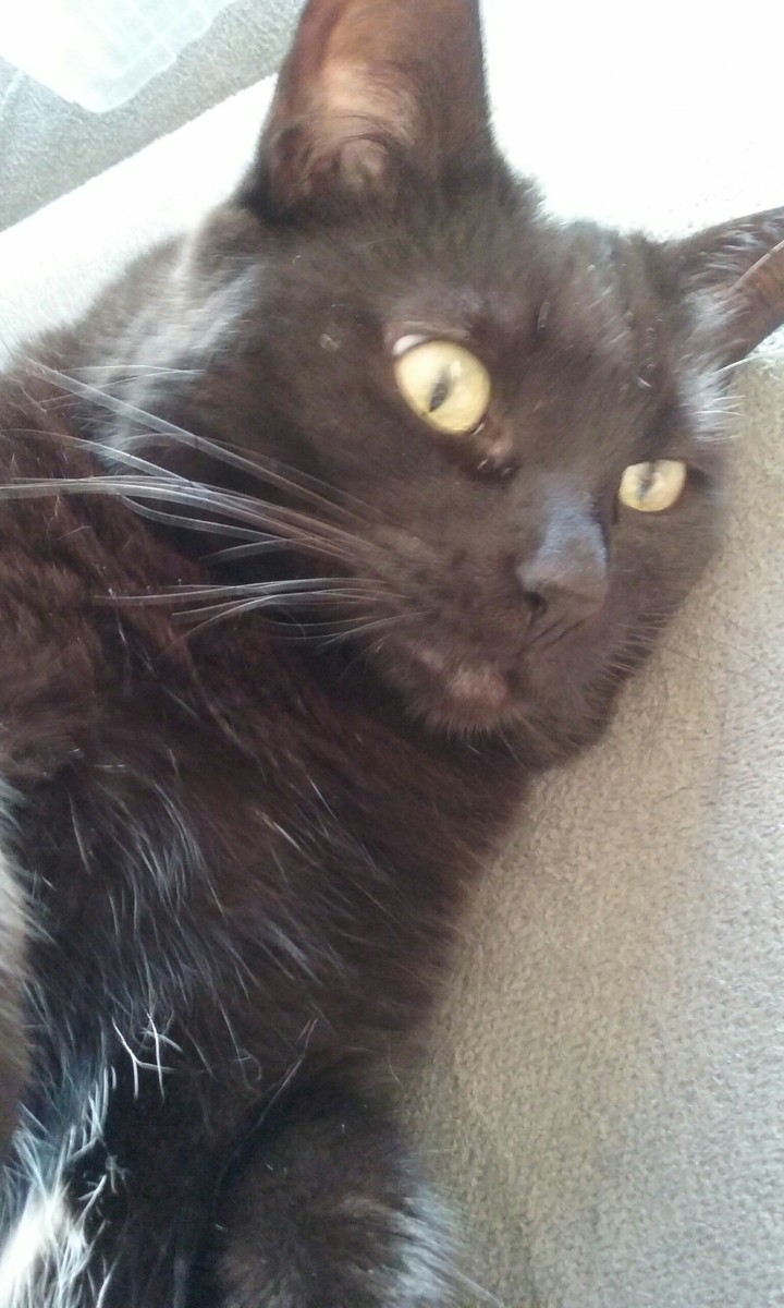 nix
