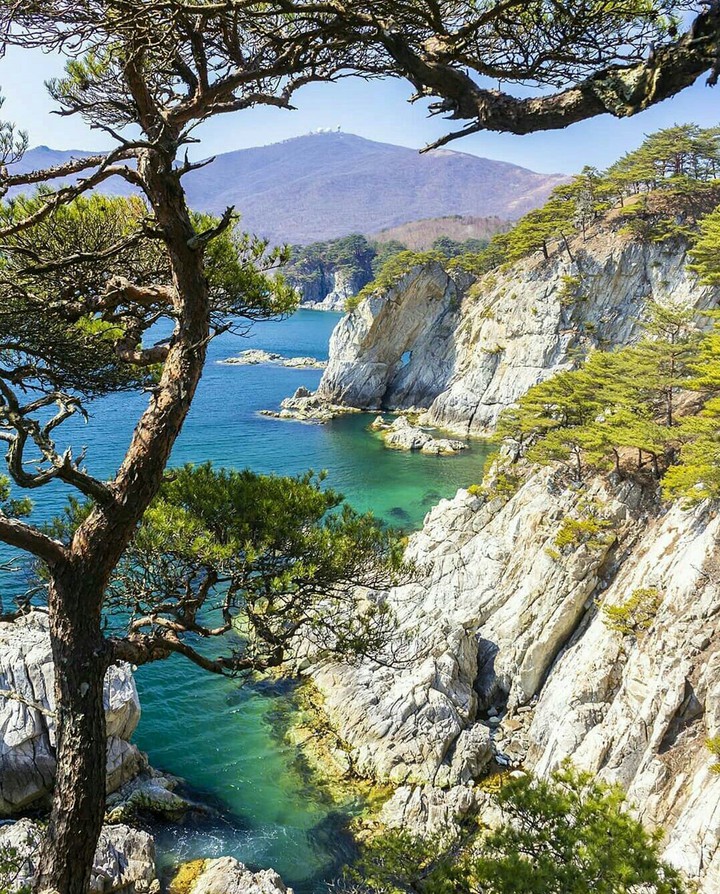 Landscape of nature