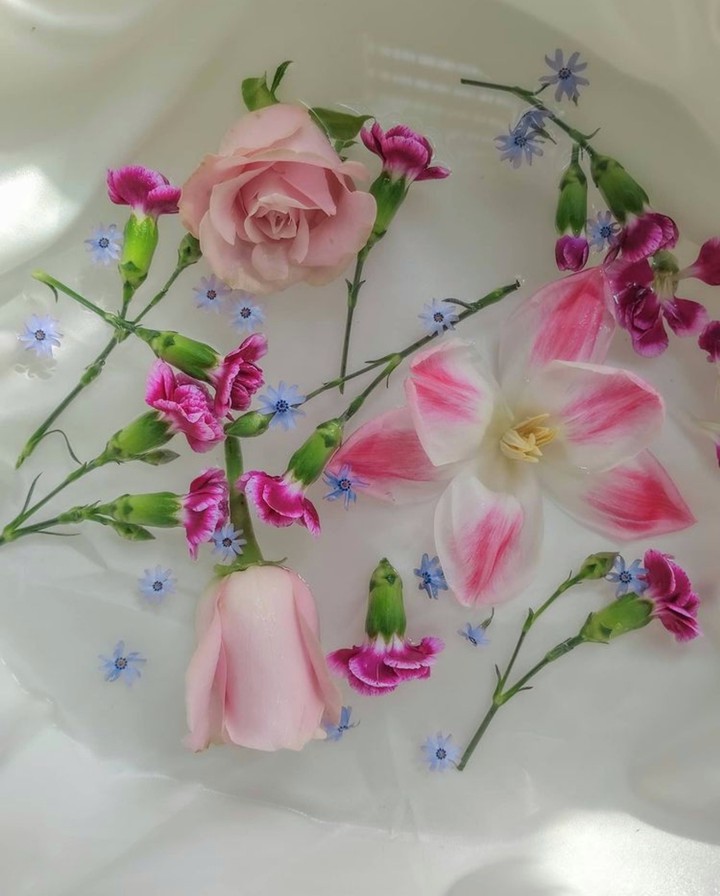 Blossom