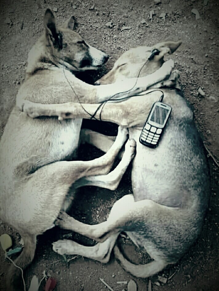 MUSIC LOVER??