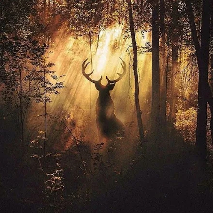 por los cuernos