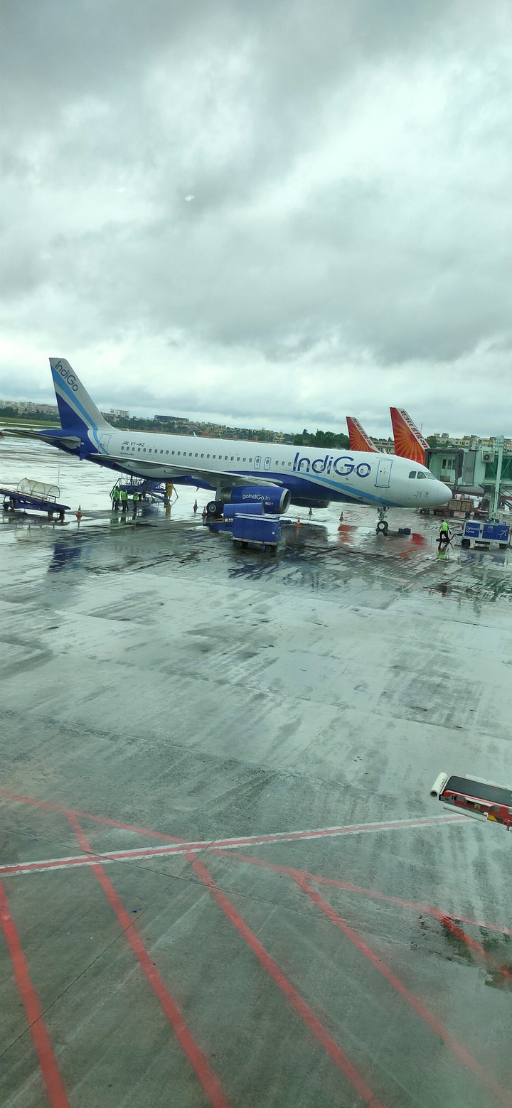 Flight